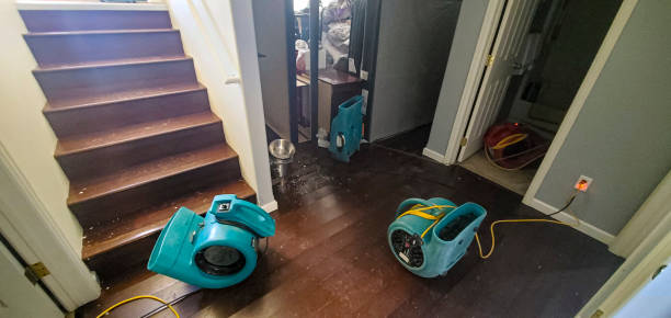 Best Residential water damage restoration  in Belfast, ME