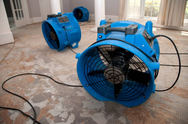 Best Sewage cleanup and water damage restoration  in Belfast, ME