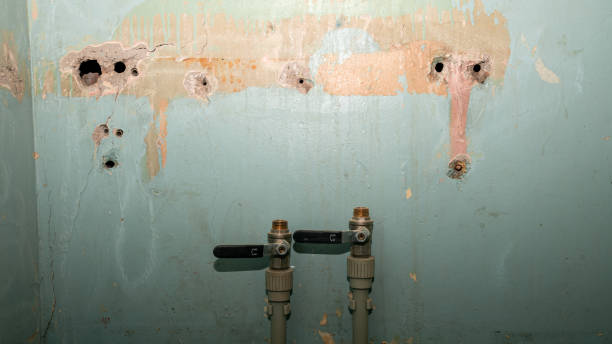 Best Local water damage restoration  in Belfast, ME